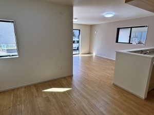 八尾市安中町、新築一戸建ての画像です