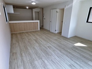 八尾市安中町、新築一戸建ての画像です