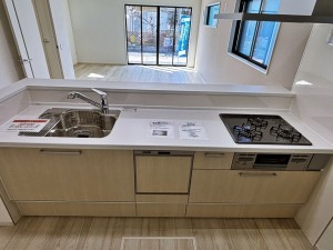 八尾市安中町、新築一戸建ての画像です