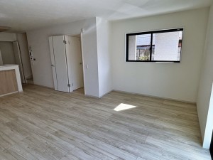 八尾市安中町、新築一戸建ての画像です