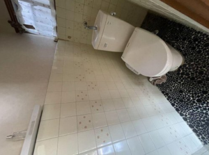 八尾市山本町北、中古一戸建てのトイレ画像です