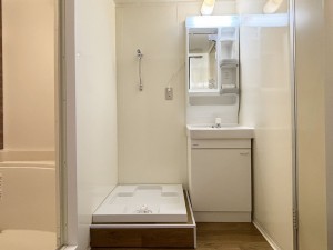 八尾市天王寺屋、マンションの洗面画像です