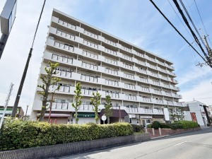 八尾市天王寺屋、マンションの外観画像です