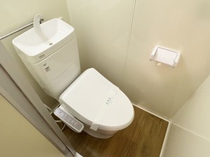 八尾市天王寺屋、マンションのトイレ画像です