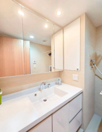 八尾市龍華町、マンションの洗面画像です