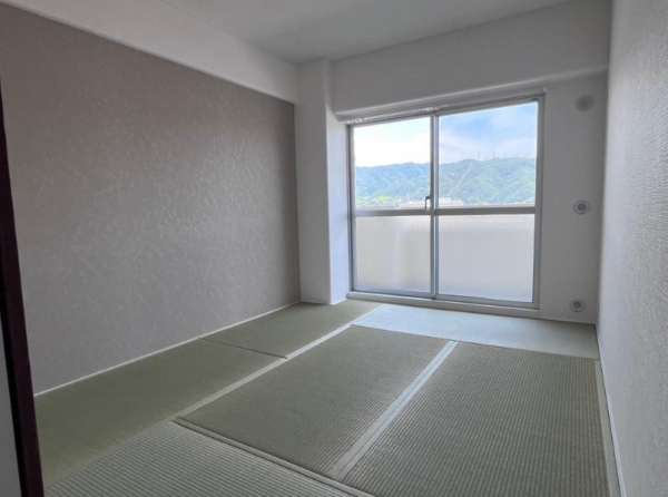 八尾市志紀町南、マンションの画像です