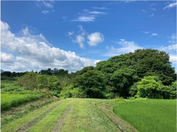 三戸郡南部町大字森越、土地の外観画像です