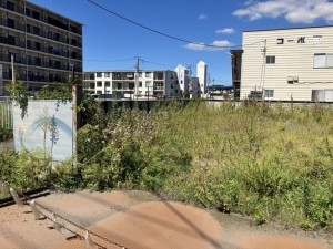 八戸市大字長苗代、土地の外観画像です