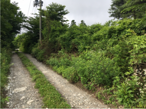 八戸市大字美保野、土地の外観画像です