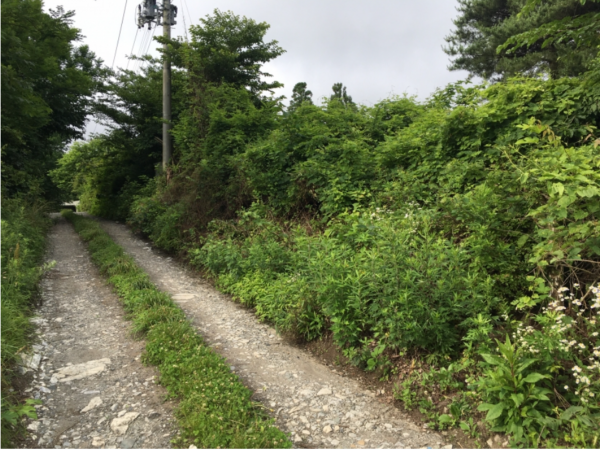 八戸市大字美保野、土地の外観画像です