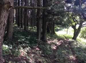 八戸市大字是川、土地の外観画像です