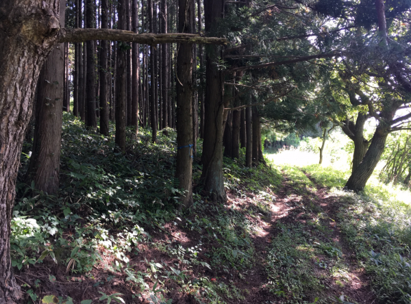 八戸市大字是川、土地の外観画像です