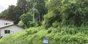 八戸市大字河原木、土地の外観画像です