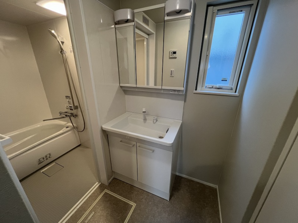 八戸市大字大久保、新築一戸建ての洗面画像です