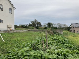 八戸市大字新井田、土地の外観画像です