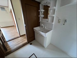 八戸市大字糠塚、中古一戸建ての洗面画像です