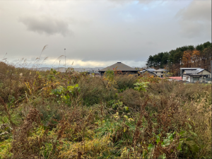 八戸市大字根城、土地の外観画像です