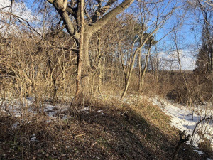 八戸市大字妙、土地の外観画像です
