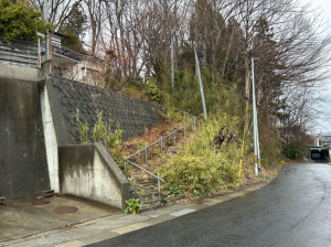 八戸市大字田向、土地の外観画像です