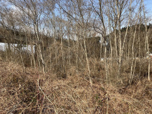 八戸市大字市川町、土地の外観画像です