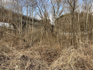 八戸市大字市川町、土地の外観画像です