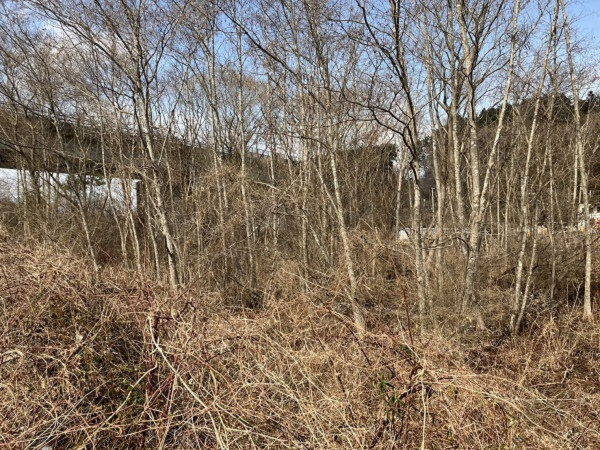 八戸市大字市川町、土地の外観画像です