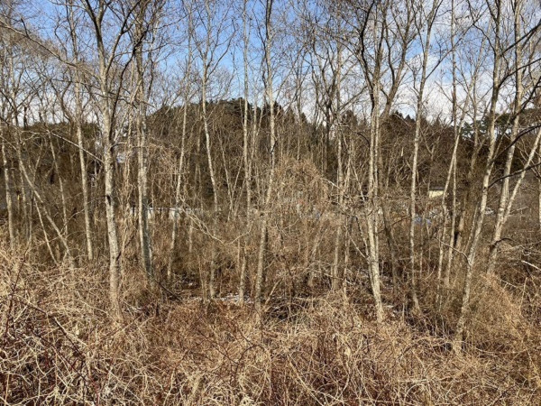 八戸市大字市川町、土地の外観画像です