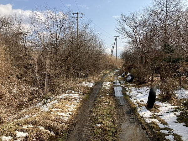 八戸市大字市川町、土地の前面道路を含む現地写真画像です