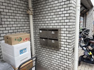 江東区亀戸、マンションの画像です