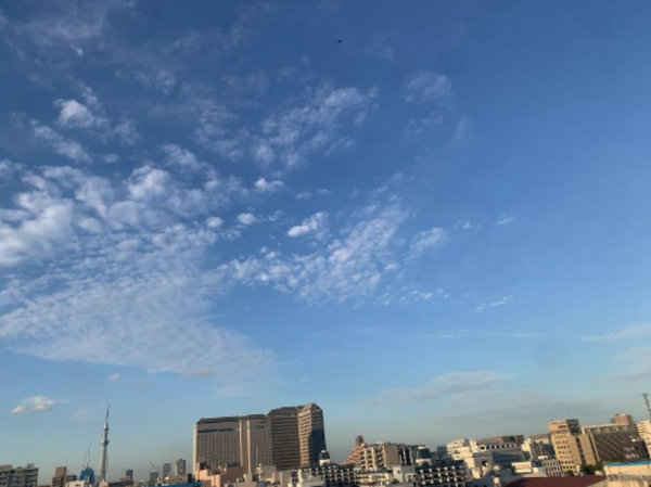 江東区東陽、マンションのその他環境写真画像です