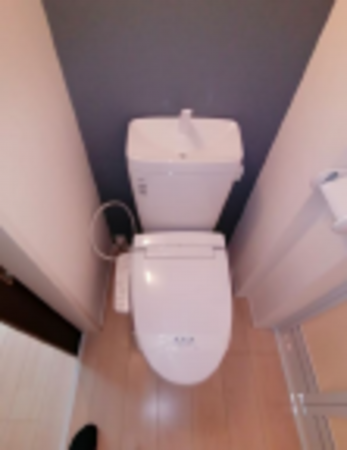 江東区大島、収益物件/アパートのトイレ画像です