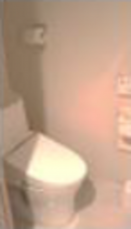 江東区亀戸、マンションのトイレ画像です
