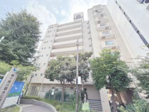 江東区扇橋、マンションの外観画像です