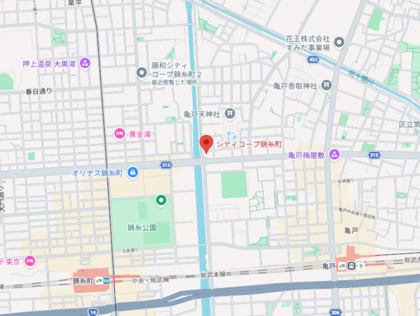 江東区亀戸、マンションの画像です