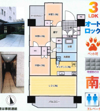 江東区扇橋、マンションの間取り画像です
