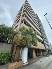 江東区亀戸、マンションの外観画像です