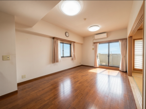 江東区枝川、マンションの居間画像です