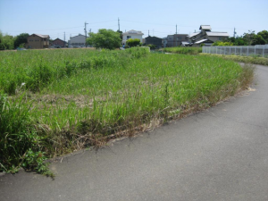 鈴鹿市石薬師町、土地の画像です