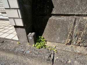 鈴鹿市寺家、土地の外観画像です