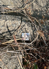 鈴鹿市東旭が丘、土地のその他画像です