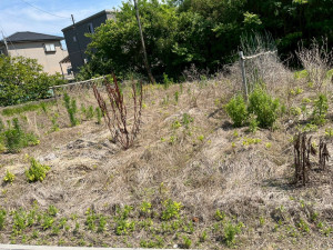 鈴鹿市高岡町、土地の外観画像です