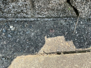 鈴鹿市稲生こがね園、土地のその他画像です