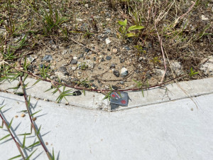 鈴鹿市若松中、土地のその他画像です