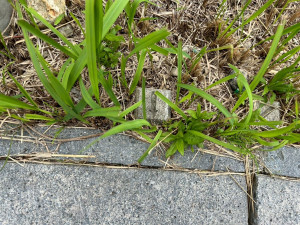 鈴鹿市岸岡町、土地のその他画像です