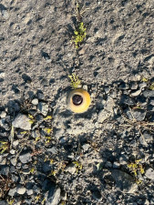 鈴鹿市平野町、土地のその他画像です