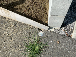 鈴鹿市南堀江、土地のその他画像です