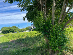鈴鹿市磯山、土地の外観画像です