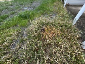 鈴鹿市東磯山、土地の画像です