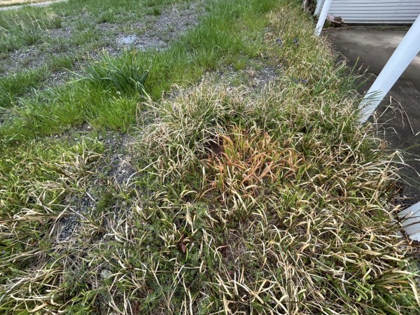 鈴鹿市東磯山、土地の画像です