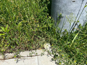 鈴鹿市北玉垣町、土地のその他画像です